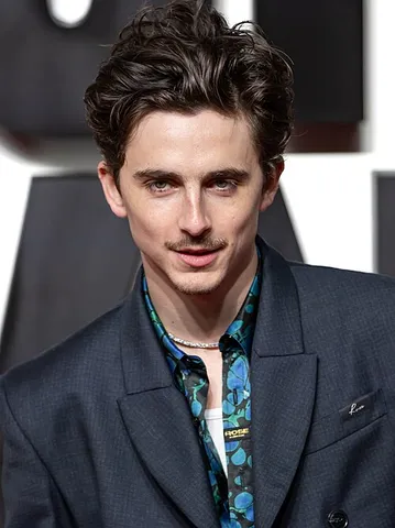 Portrait of Timothée Chalamet